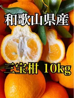 2026年最新】みかんキングの人気アイテム - メルカリ