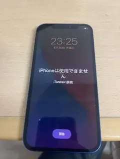 Apple iPhone 12 青色 本体