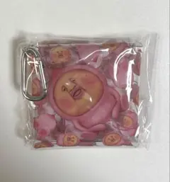 こびとづかん マルチケース カクレモモジリ (いっぱい) 9