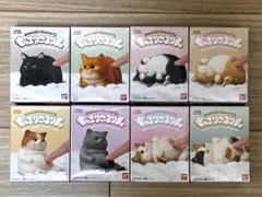 【未開封】もっちりころりん♪ねこ　8個セット