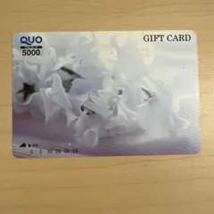 2026年最新】使用済みQUOカードの人気アイテム - メルカリ