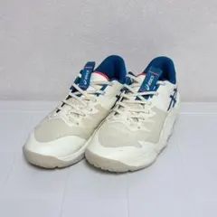河村勇輝選手着用モデル UNPRE ARS LOW 2 25.0cm バッシュ