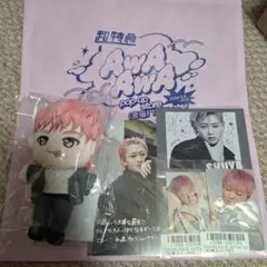 超特急 EVE ぬいぐるみ シューヤ