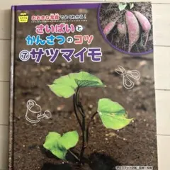 Bruno Traven様 リクエスト 2点 まとめ商品