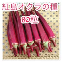 みっちゃん様 リクエスト 2点 まとめ商品