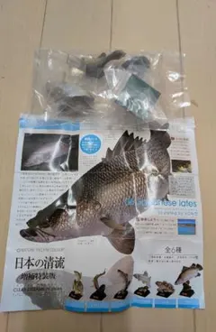 アカメ　ガチャガチャ　新品　日本の清流　増補特装版