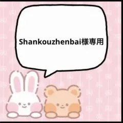 ご確認用 Sana様専用 ハンカチ トイプードルちゃん柄 ハンドメイド8/29