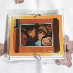 【名探偵コナン】コナンランド 連結アクリルキーホルダー 新一＆蘭