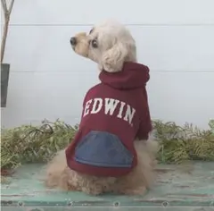 2025秋冬 EDWIN（ エドウィン）デニムライクポケット付パーカーのサムネイル