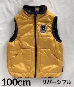 Item thumbnail for item c52c8811-7f66-44a8-b46d-94f884e26ab5