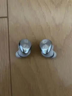 Technics EAH-AZ80 ワイヤレスイヤホン 2024/11購入・美品