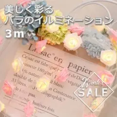 Item thumbnail for item 6dad4f88-3416-4de2-bbf0-2d2d92dfef85