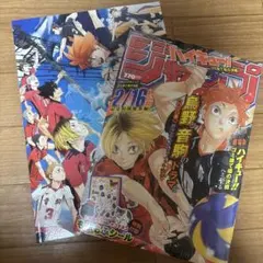 ハイキュー!!ジャンプ表紙号と劇場版ゴミ捨て場の決戦公式パンフレットの2点セット
