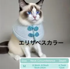 Item thumbnail for item 050fb080-d3f4-4b08-8a69-562fadf6ac1c