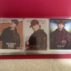 世界 BUTTERFLY EFFECT フォトカード