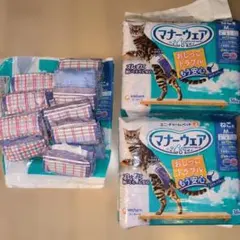 Item thumbnail for item 82762d38-9119-4f04-96ae-77efe3b46ec7