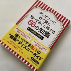 在去迪士尼之前您應該知道的66件事