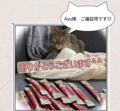 Ayu様　ご確認用です♥