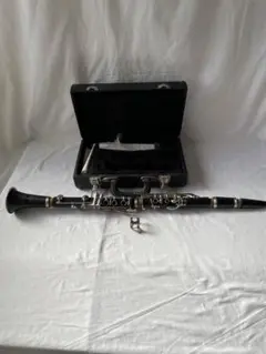 Item thumbnail for item 43323662-6562-402f-be38-2dfd8ddb536a