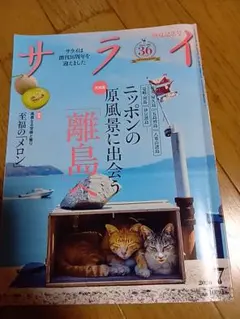 サライ 2026年7月号 ニッポンの原風景に出会う離島へ