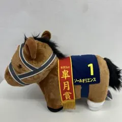 サラブレッドコレクション　ふわふわBIG（ソールオリエンス）