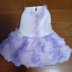 Item thumbnail for item 89d5a846-b84e-4a82-aa41-bfeda5a22266