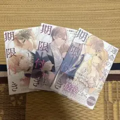 運命の恋人は期限付き