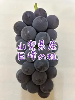 【河崎 保志】巨峰の粒　箱込1kg弱 L様専用】巨峰の粒 箱込1kg弱 - メルカリ