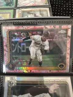 Item thumbnail for item d86d0249-91f4-4e99-87d9-064fb9630b84