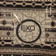 Item thumbnail for item 66decb6b-6e5f-4a77-a038-caf7c0678e11