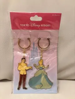 東京ディズニーリゾート シンデレラ 王子 キーホルダー 2個セット