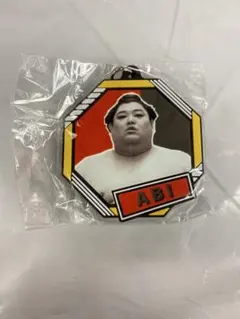 【国技館限定ガチャ】阿炎　ラバーキーホルダー　大相撲のサムネイル
