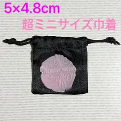 【超ミニサイズ‼︎】 アクセサリー購入時特典 黒×ピンク ミニ巾着