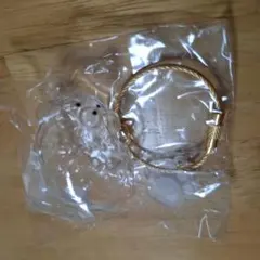 うちの子のけだまだま　犬　プードル