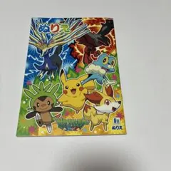 ポケットモンスターXY ぬりえ 未使用 ポケモン 塗り絵 任天堂 子供 知育