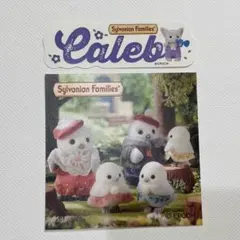 シルバニアファミリー カレブ ネームステッカー シール フェネックの赤ちゃん
