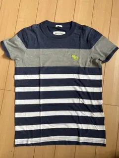 Abercrombie & Fitch ストライプ Tシャツ S