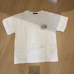 Item thumbnail for item 818830e8-4541-4e63-ae2d-0ce28e9a3d3c