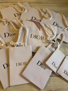 Dior ショッパー紙袋10枚セット