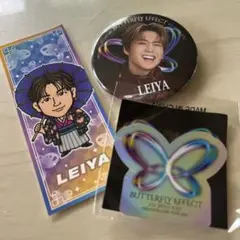 LEIYA バタフライエフェクト 缶バッジ セット
