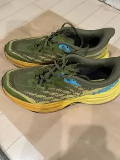 Item thumbnail for item 426916bb-d2fd-4540-9a36-107335edf4a0