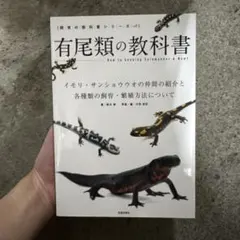 거미류 교과서 뉴트 도롱뇽 사육 책