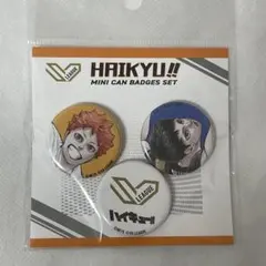 ハイキュー ミニ缶バッジセット SVリーグ 日向翔陽 影山飛雄