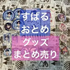 ひみつのアイプリ グッズ すばる おとめ まとめ売り