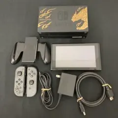 スイッチ ライズスペシャルエディションJoy-Con無し スタンド型充電器