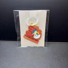 ポケモン ポケチャーム 30周年 ロゴマスコット　ヒノアラシ　②