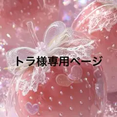 トラ様専用ページ♡