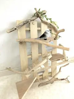 Item thumbnail for item 1d88c1a5-0c4f-4789-bf77-31b4460534e0