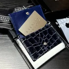 Item thumbnail for item 78a7de1d-0b42-4569-947f-c12b75535d1b