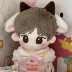 10cm ENHYPEN ジョンウォン JUNGWON ぬいぐるみ本体⑧ - メルカリ